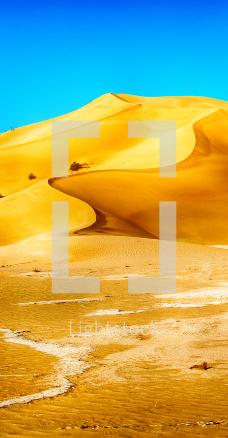 sand dunes in Oman 