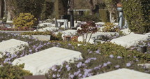Military cemetery with graves of fallen soldiers