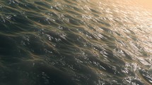 The surface of the water during sunset, Seamless loop animation