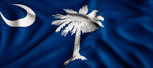 South Carolina Flag 