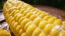 Freshly boiled tasty sweet golden corn cob. 