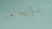 Falling sesame seeds on blue background
