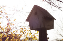 birdhouse on a post