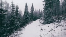 drone flying over a winter forest on a mountainside 