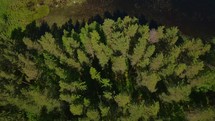 Aerial of lake and forest in northern Finland