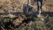 Person In Rubber Boot Digging Soil On Field With Shovel For Planting Tree. slow motion shot	