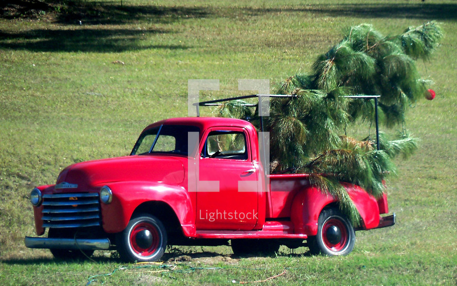 An antique red Chevy truck with Christmas trees out in the rural countryside used to pickup and delivery Christmas trees reminiscent of a nostalgic country Christmas in the rural south parked on a grassy field.   