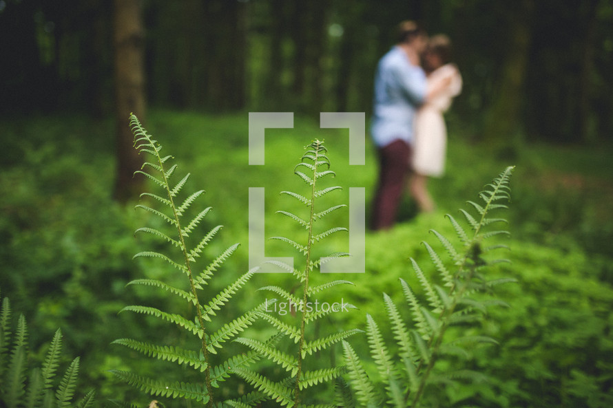 A couple embracing in a forest.