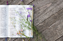purple flowers on the pages of a Bible 