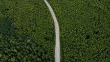 Road Through Canadian Forest