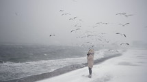 Woman in warm clothes holds and throws bread in the sky for feeding hungry gulls in winter