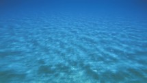 Underwater light refractions on the sea floor