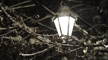 Snowflakes illuminated by bright light in park. S