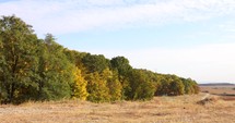 Autumn Forest and Fields in the Countryside - Trees with Yellow Foliage in Fall - static shot