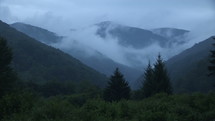 Carpathian mountains covered by fog.
