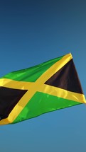 Waving Jamaica Flag Over The Plants In The Sky