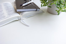 Bible, notebook, and plant on white background