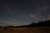 A field of grass at dusk, with stars overhead.