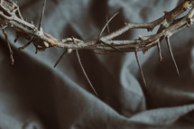crown of thorns and fabric 