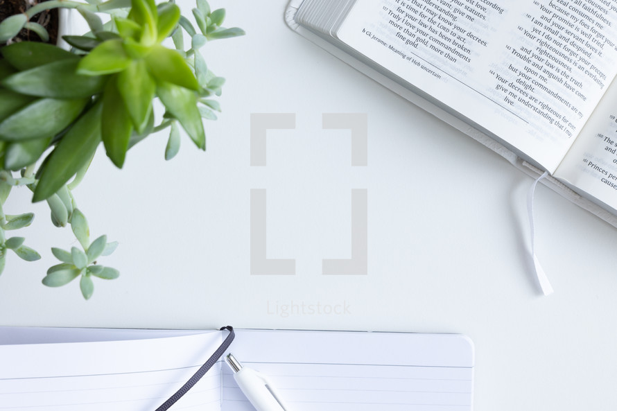 Bible, notebook, and plant on white background