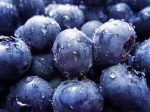 water droplets on blueberries 