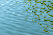 ripples in pond water reflecting the blue sky