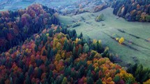 Aerial view from a drone, autumn trees in the forest coloured with many colours, hilly rural forest landscape,