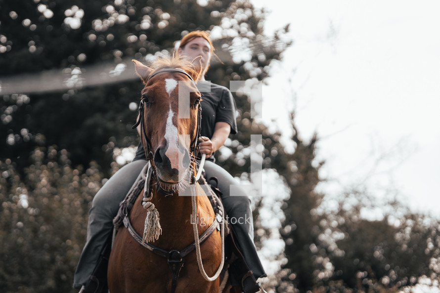 Horse riding woman on a brown stallion, western style saddle horseback rider