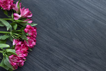 pink flowers on a wood background 