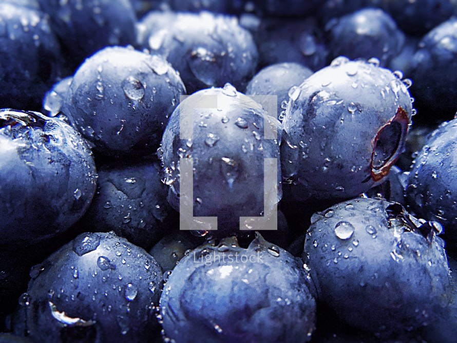 water droplets on blueberries 