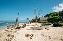 driftwood and shacks on the beach in Matiu Village 