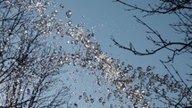 Droplets of water jet from a fountain with trees and sky in the background