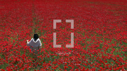 Jesus walking in a beautiful poppy field. — Photo — Lightstock