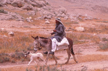Arab man on a donkey, riding through the desert 