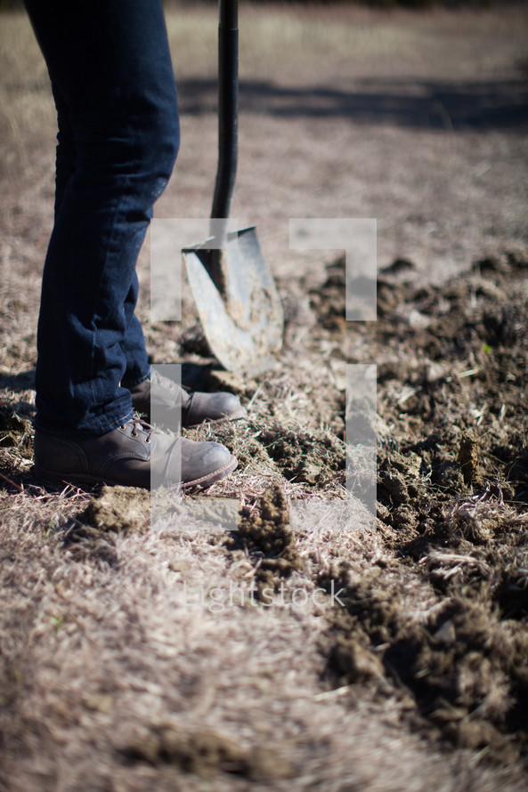 A man in jeans and boots digs with a shovel in the dirt.