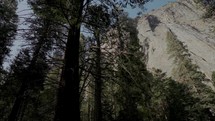 Drive through Yosemite Valley