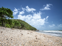 sea shells on a beach in Queensland 