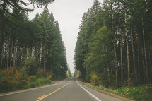 An empty highway running through a forest.