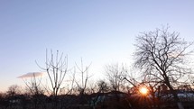 Silhouetted Trees With Leafless Branches During Sunset. Timelapse