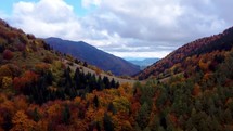 Aerial view from a drone, autumn trees in the forest coloured with colours, hilly forest landscape