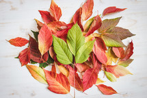 Background of rustic autumn leaves