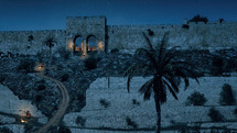 Old Jerusalem with palm and gate - night

