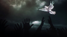 Praying hands with a dove in the storm
