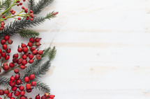 red berries and Christmas greenery on a white background 