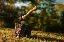 Axe in a tree stump, log cutting lumberjack tools