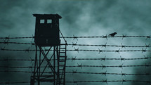 Prison fence with a bird and a watchtower
