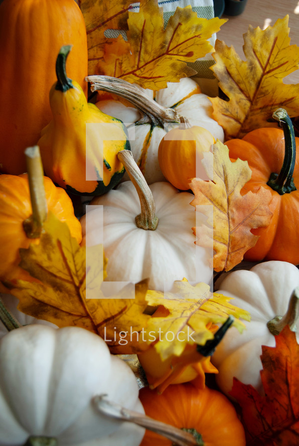 fall background with pumpkins and leaves 