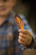 A young boy holds a fall leaf.