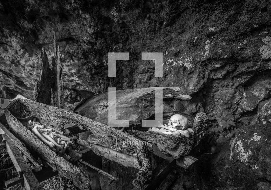 skeletons buried in logs