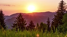 Sunset over wild forest mountains in summer evening in Carpathian nature, green grassy meadow in the foreground Time-lapse